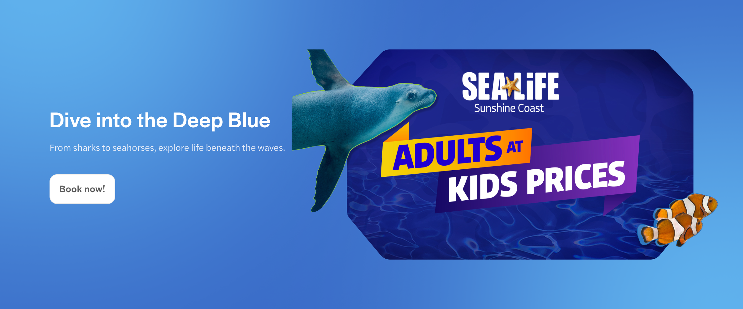 SeaLife Sunshine Coast